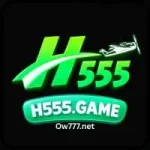 H555 Game