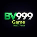 BV999 Game