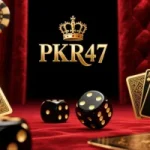 PKR47 Game APK logo